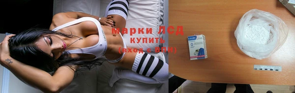 меф VHQ Дмитриев