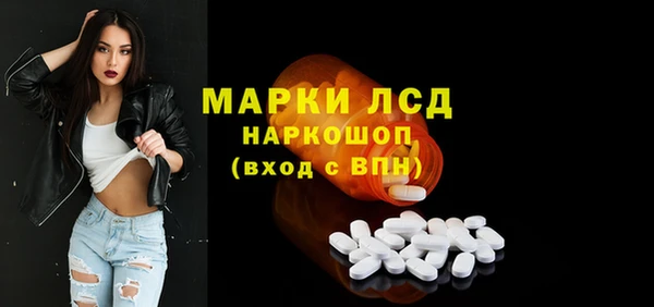 сатива Дмитровск