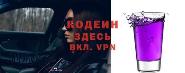 сатива Дмитровск