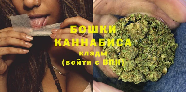 сатива Дмитровск