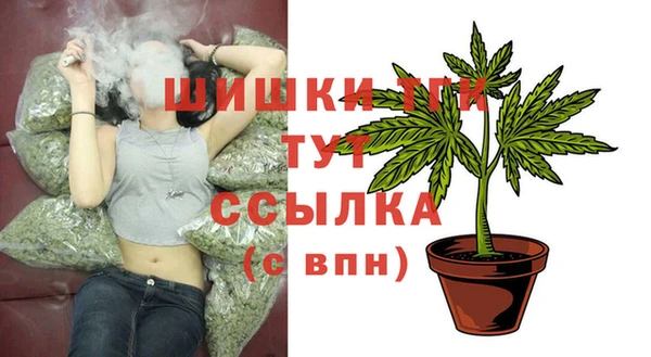 сатива Дмитровск