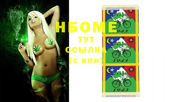 сатива Дмитровск