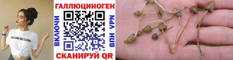 Галлюциногенные грибы прущие грибы  Купить  Пенза 